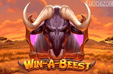 Win A Beest