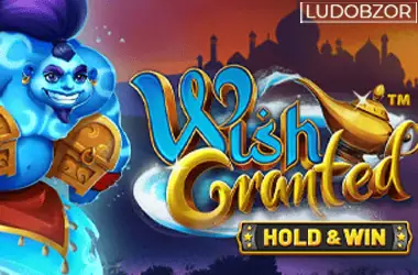 Wish Granted