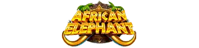 African Elephant