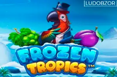 Frozen Tropics