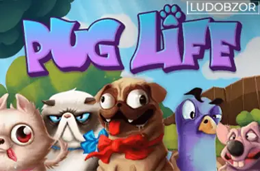 Pug Life