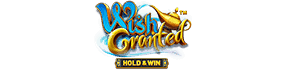 Wish Granted