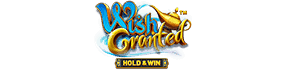 Wish Granted