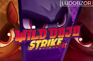 Wild Dojo Strike