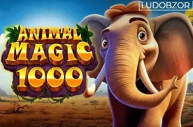 Animal Magic 1000