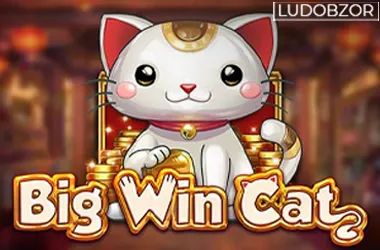 Big Win Cat