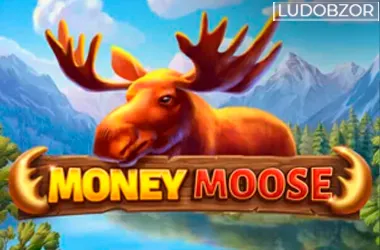 Money Moose