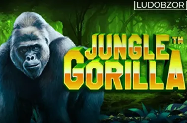 Jungle Gorilla