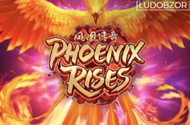Phoenix Rises