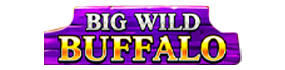 Big wild buffalo