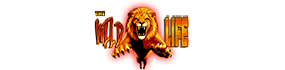 The Wildlife