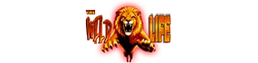 The Wildlife