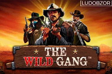 The Wild Gang