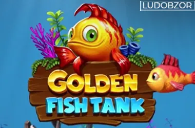 Golden Fish Tank