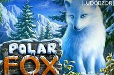 Polar Fox