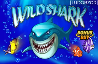 Wild Shark