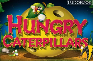 Hungry Caterpillars