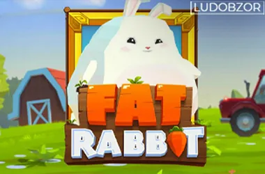 Fat Rabbit