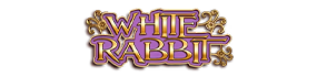 White Rabbit