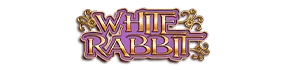 White Rabbit