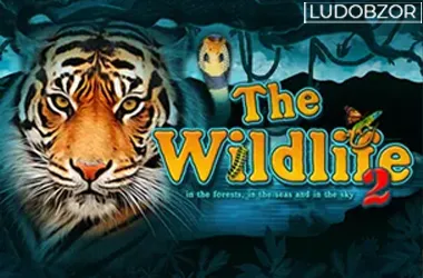 The Wildlife 2