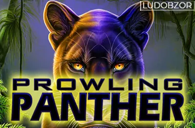 Prowling Panther