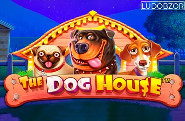 The Dog House Multihold
