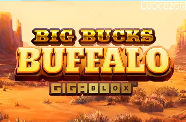 Big Bucks Buffalo
