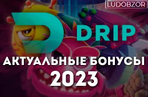 Новые бонусы Drip casino уже в обзоре!