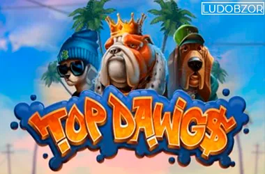 Top Dawgs