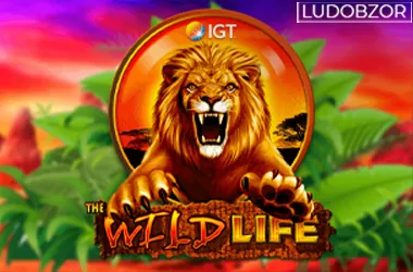 The Wildlife