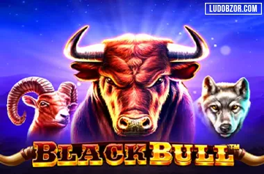 Black Bull
