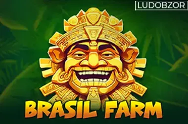 Brazil Farm