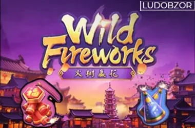 Wild Fireworks