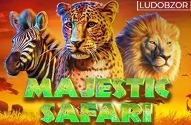 Majestic Safari