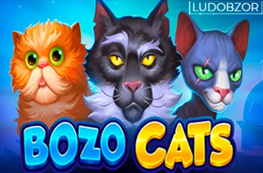 Bozo cats