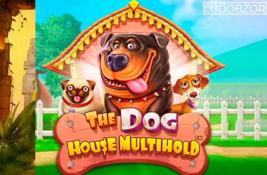 Dog House