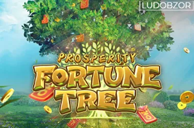 Tree Of Fortune