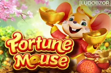 Fortune Mouse