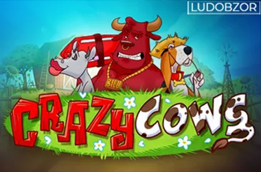 Crazy Cows