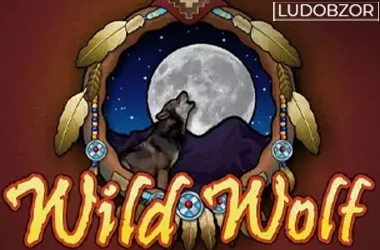 Wild Wolf