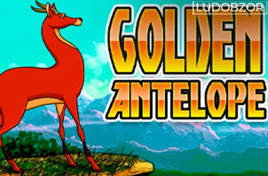 Golden Antelope