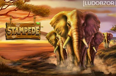 Stampede