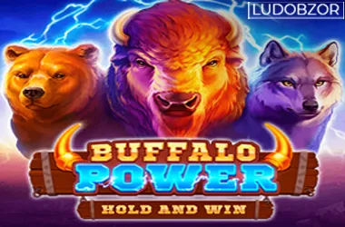 Buffalo Power: Hold and Win