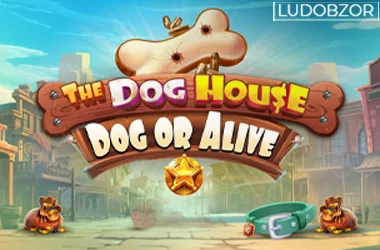The Dog House – Dog or Alive