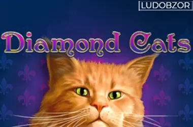 Diamond Cats