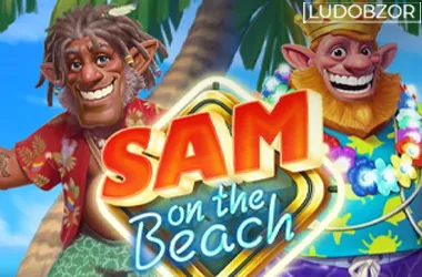 Sam on the Beach