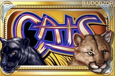 Cats