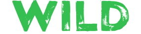 Wild Casino