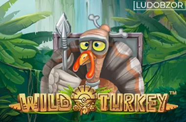 Wild Turkey